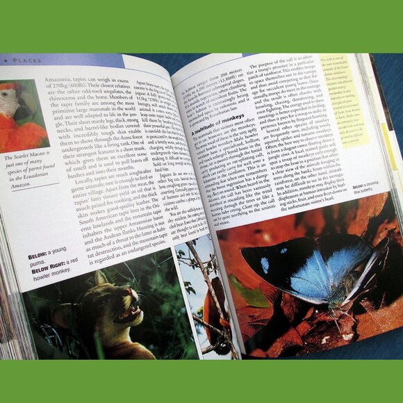 Book: Ecuador & Galapagos - Travel Guide - Picture 7 of 16